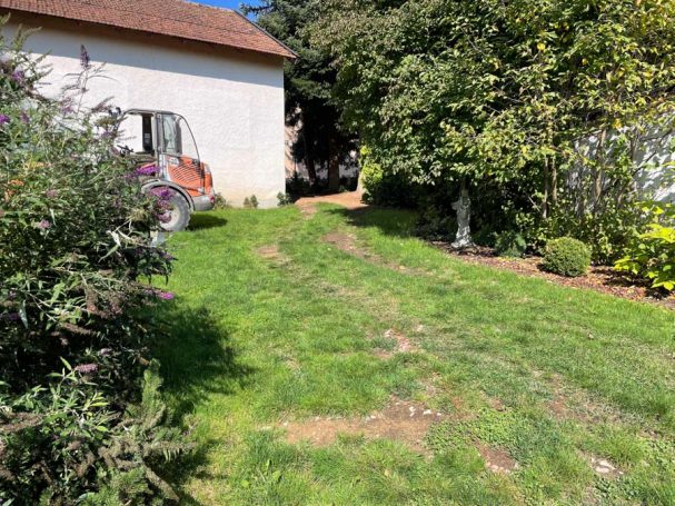 Grüner Gartenweg mit Blumen und einem Gebäude im Hintergrund.
