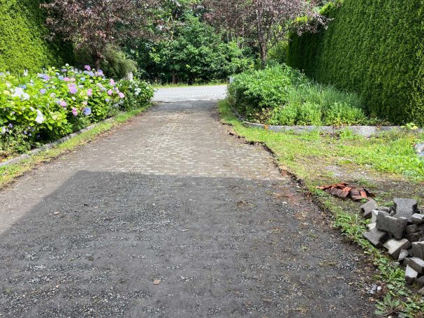 Schmaler Kiesweg zwischen üppigem Grün und blühenden Sträuchern.