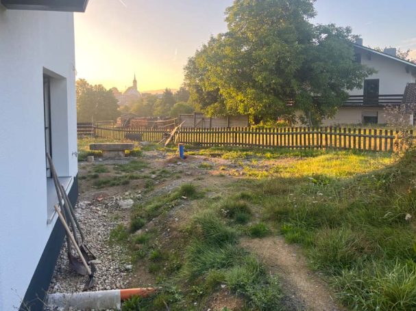 Landschaft mit unbefestigtem Weg, grüner Wiese und einem Baum im Hintergrund.